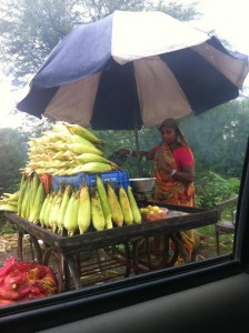 Corn Seller at Rajasthan - Gujarat highway