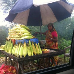 Corn Seller at Rajasthan - Gujarat highway