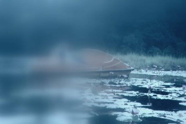 pookode lake wayanad