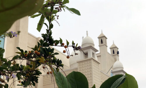 Nature, like Masjid, fire the spiritual oomph of the Believer: Jaihoon