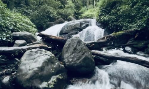 Trekking @ Wayanad