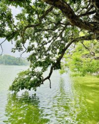 Hoan Kiem Lake, Old Quarters, Hanoi