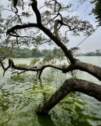 Hoan Kiem Lake, Old Quarters, Hanoi