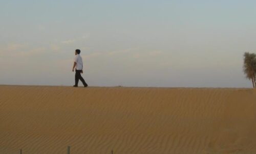From Sand Dunes to Paddy Fields