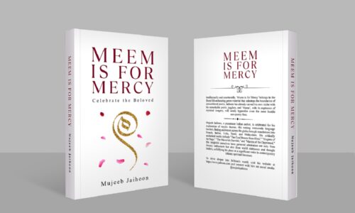 Meem is for Mercy